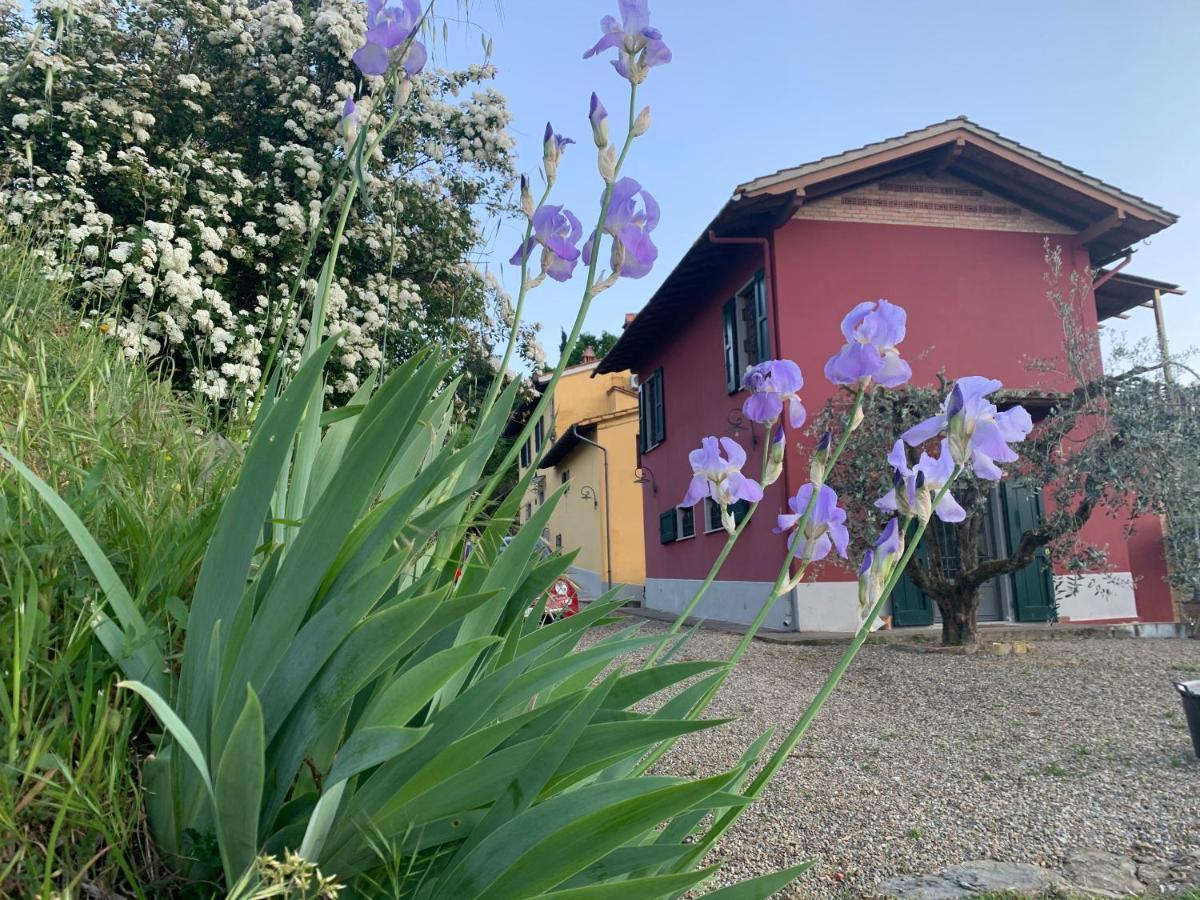 Barco Mediceo B&B In Toscana การ์มิญาโน ภายนอก รูปภาพ